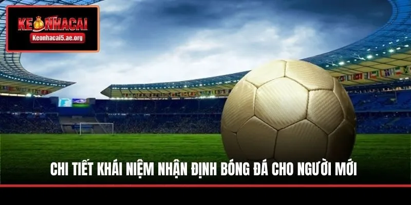 Chi tiết khái niệm nhận định bóng đá cho người mới